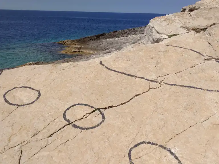 Dinosaur footprints at Cape Kamenjak